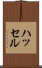 ハッセル Scroll