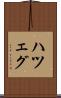 ハツェグ Scroll