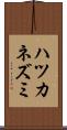 ハツカネズミ Scroll
