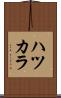 ハツカラ Scroll
