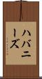 ハバニーズ Scroll