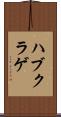 ハブクラゲ Scroll