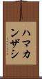 ハマカンザシ Scroll