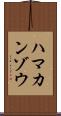 ハマカンゾウ Scroll