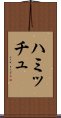 ハミッチュ Scroll