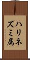 ハリネズミ属 Scroll