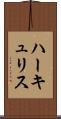 ハーキュリス Scroll