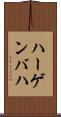 ハーゲンバハ Scroll