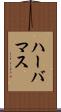ハーバマス Scroll