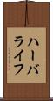 ハーバライフ Scroll