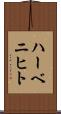 ハーベニヒト Scroll
