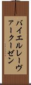 バイエル・レーヴァークーゼン Scroll