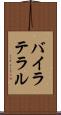 バイラテラル Scroll