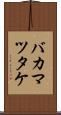 バカマツタケ Scroll