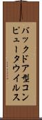 バックドア型コンピュータウイルス Scroll