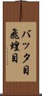 バッタ目 Scroll