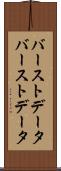 バーストデータ Scroll