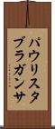 パウリスタブラガンサ Scroll