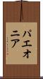 パエオニア Scroll