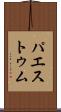 パエストゥム Scroll