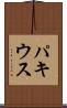 パキウス Scroll