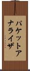パケット・アナライザ Scroll