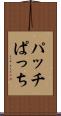 パッチ Scroll