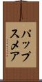 パップスメア Scroll