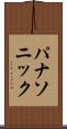 パナソニック Scroll