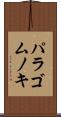パラゴムノキ Scroll