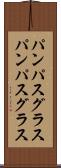 パンパスグラス Scroll