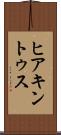 ヒアキントゥス Scroll