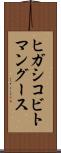 ヒガシコビトマングース Scroll