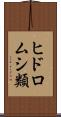 ヒドロムシ類 Scroll
