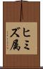 ヒミズ属 Scroll