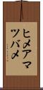 ヒメアマツバメ Scroll