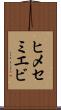 ヒメセミエビ Scroll