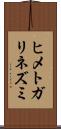 ヒメトガリネズミ Scroll