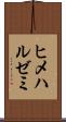 ヒメハルゼミ Scroll