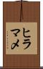 ヒラマメ Scroll