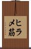 ヒラメ筋 Scroll