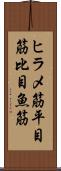 ヒラメ筋 Scroll