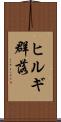 ヒルギ群落 Scroll