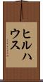ヒルハウス Scroll