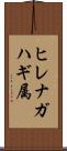 ヒレナガハギ属 Scroll