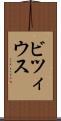 ビツィウス Scroll