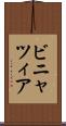ビニャツィア Scroll