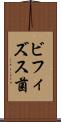 ビフィズス菌 Scroll