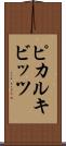 ピカルキビッツ Scroll