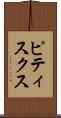 ピティスクス Scroll